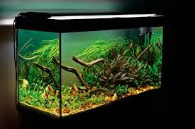 Aquarium lighting and tanks