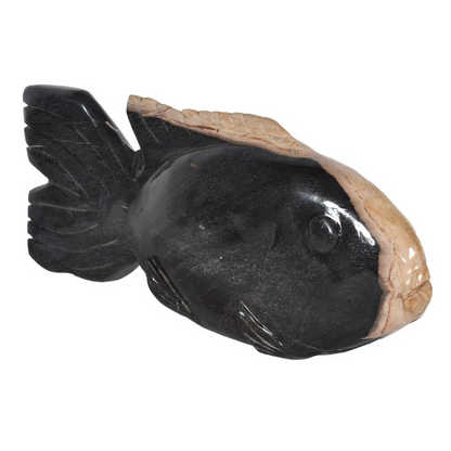 Petrified Wood Fish