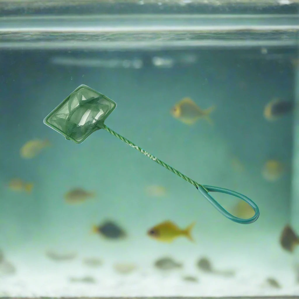 Long Handle Portable Fish Net for Aquariums, Square Design for Catching Fish and Cleaning Floating Debris in Fish Tanks.