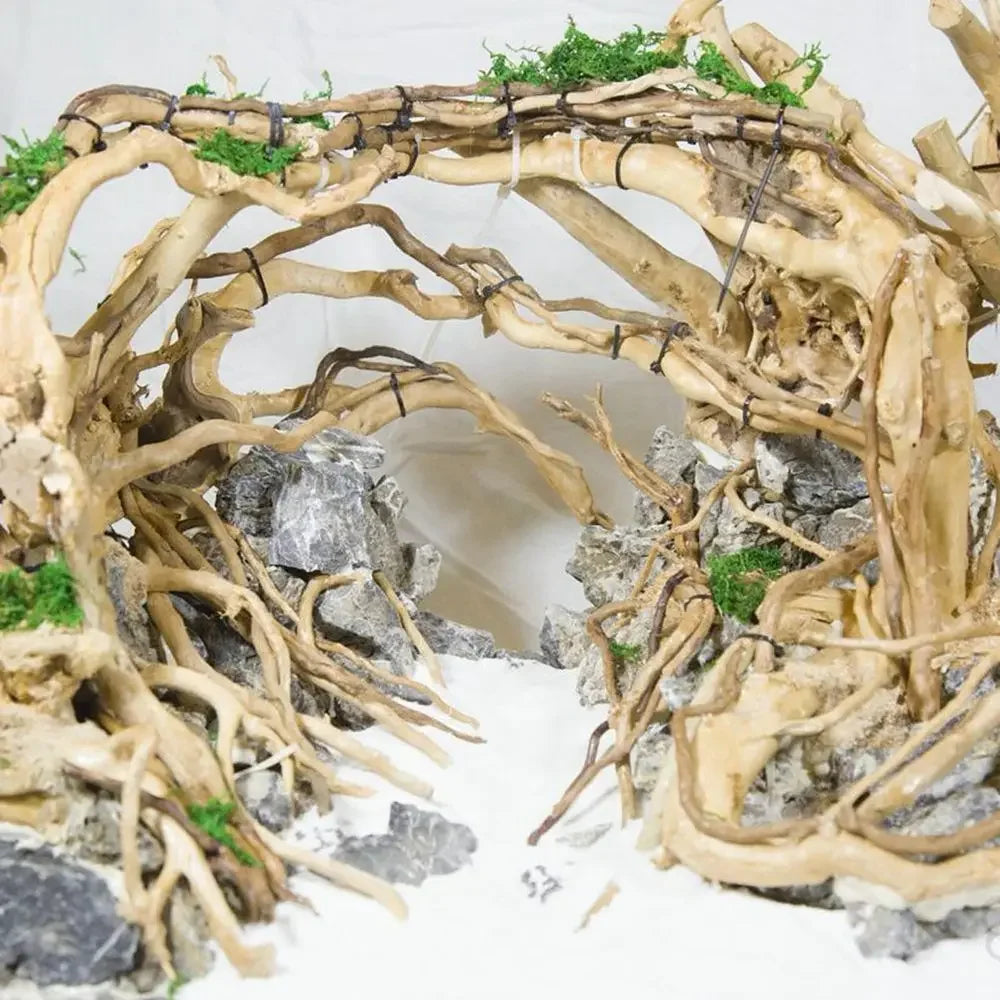 1 Piece Natural Wood Driftwood Tree Stump for Aquarium Fish Tank Decoration and Landscaping.