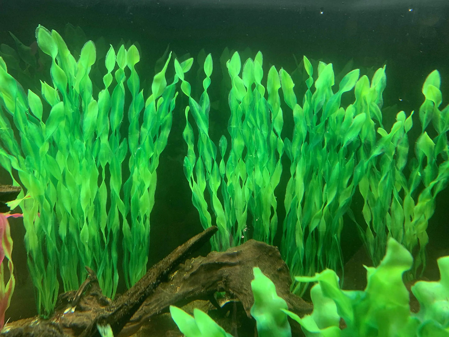 5 to 10 pieces of plastic aquarium plants for fish tank decoration. These artificial seaweed and water grass plants are perfect for underwater ornamentation in your aquarium.