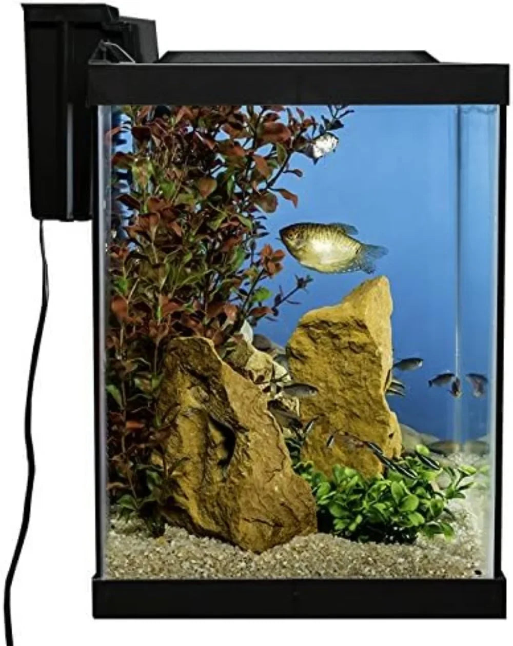 20 Gallon Fish Tank Set, Comes with LED Lights and Decorations.