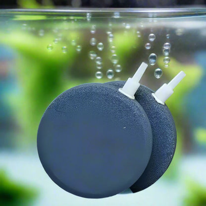 1 piece of bubble stone aerator available in sizes 40/50/60/70/80/100mm for aquarium fish tanks. It's a mini air pump accessory for hydroponics and oxygen supply.