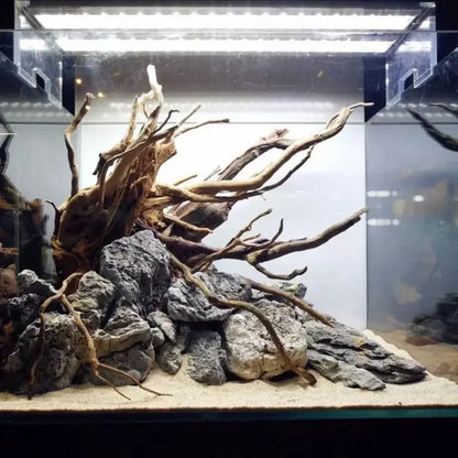 1 Piece Natural Wood Driftwood Tree Stump for Aquarium Fish Tank Decoration and Landscaping.