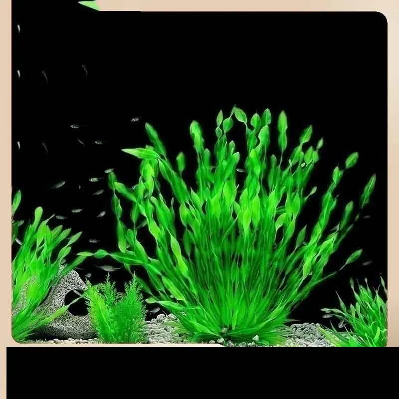 Plastic underwater plants for fish tanks, perfect for decorating with aquatic grass and water weeds.