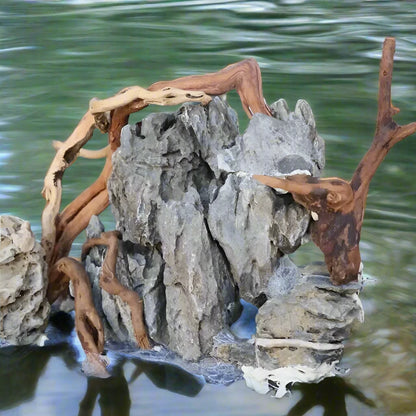 1 Piece Natural Wood Driftwood Tree Stump for Aquarium Fish Tank Decoration and Landscaping.