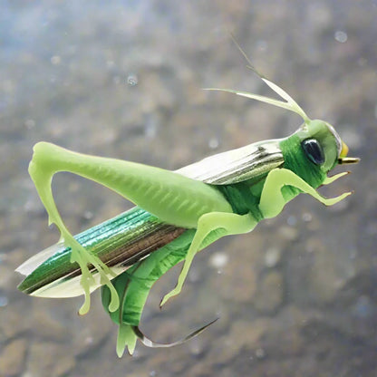 Bionic Fishing Lure designed like a grasshopper and minnow, featuring hard baits and crankbaits. These artificial swimbaits are perfect for catching bass, carp, and pike. Ideal fishing tackle for your needs.