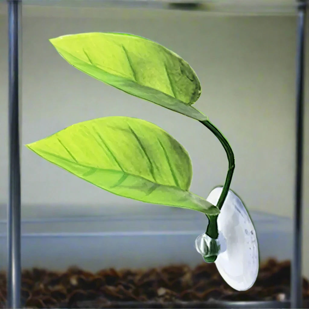 Betta Leaf Bed for Fish to Relax, Betta Hammock, Decor for Betta Tanks, Aquarium Plants, Accessories for Small Betta Fish Aquariums.