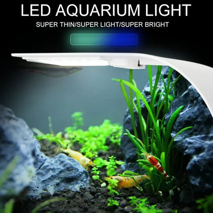 Super Slim LED Aquarium Light for Plant Growth, available in 5W, 10W, and 15W. This waterproof clip-on lamp is perfect for your fish tank.