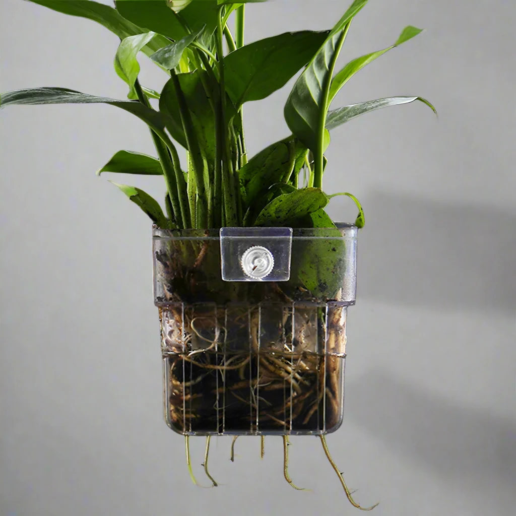 Wall-Mounted Aquarium Planter Cups for Aquatic Plants, Fish Tank Plant Holder, and Planter Basket.