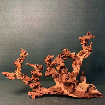 Large natural coral driftwood for aquariums, perfect as ornaments for fish tanks.